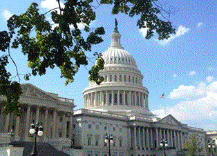 use IMG_1478.gif
