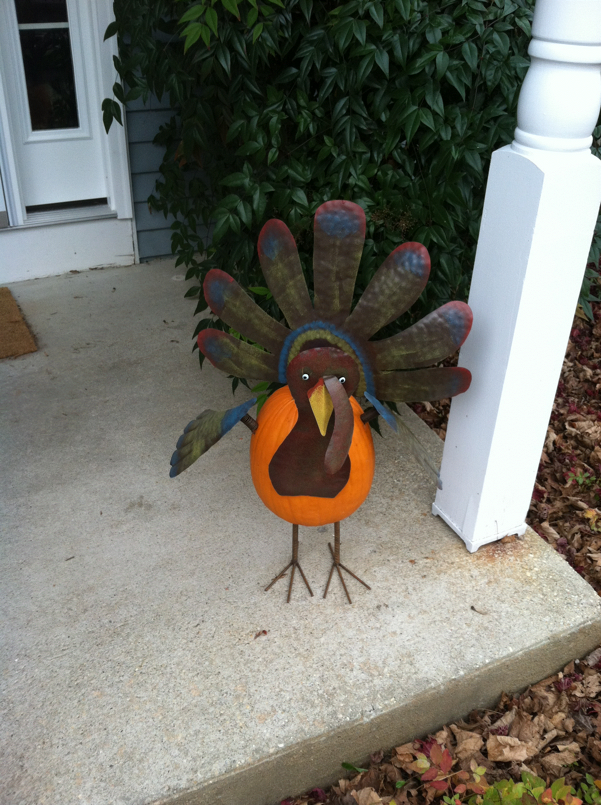Turkey.gif